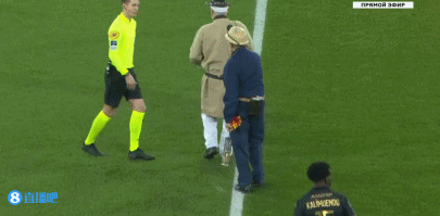 尤文跟队：鲁加尼目标下周欧冠复出，布雷默可能12月下旬回归（尤文伤情更新：鲁加尼力争下周欧冠复出，布雷默有望12月下旬回归）